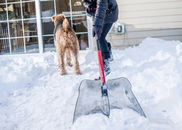 outdoor winter safety shoveling snow path for dog to go to the bathroom