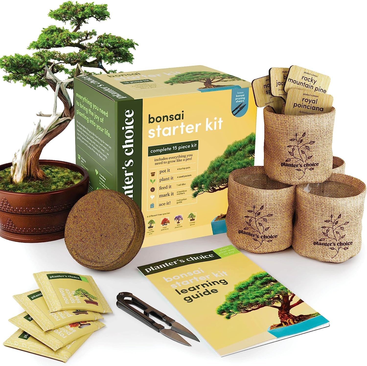 Bonsai Starter Kit - Gardening Gift for Women & Men - Bonsai Tree Growing Garden Crafts Hobby Kits for Adults, Unique DIY Hobbies for Plant Lovers 