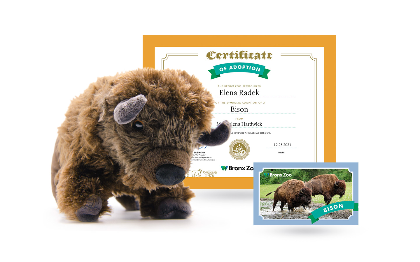 adopt a bison wwf pack set