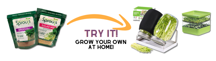 DIY grow your own sprouts indoors at home