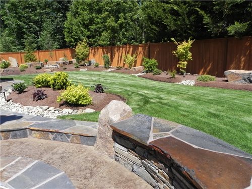 dog friendly backyard landscaping for dogs