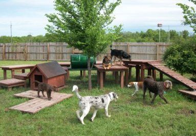 dog friendly activities in backyard playground